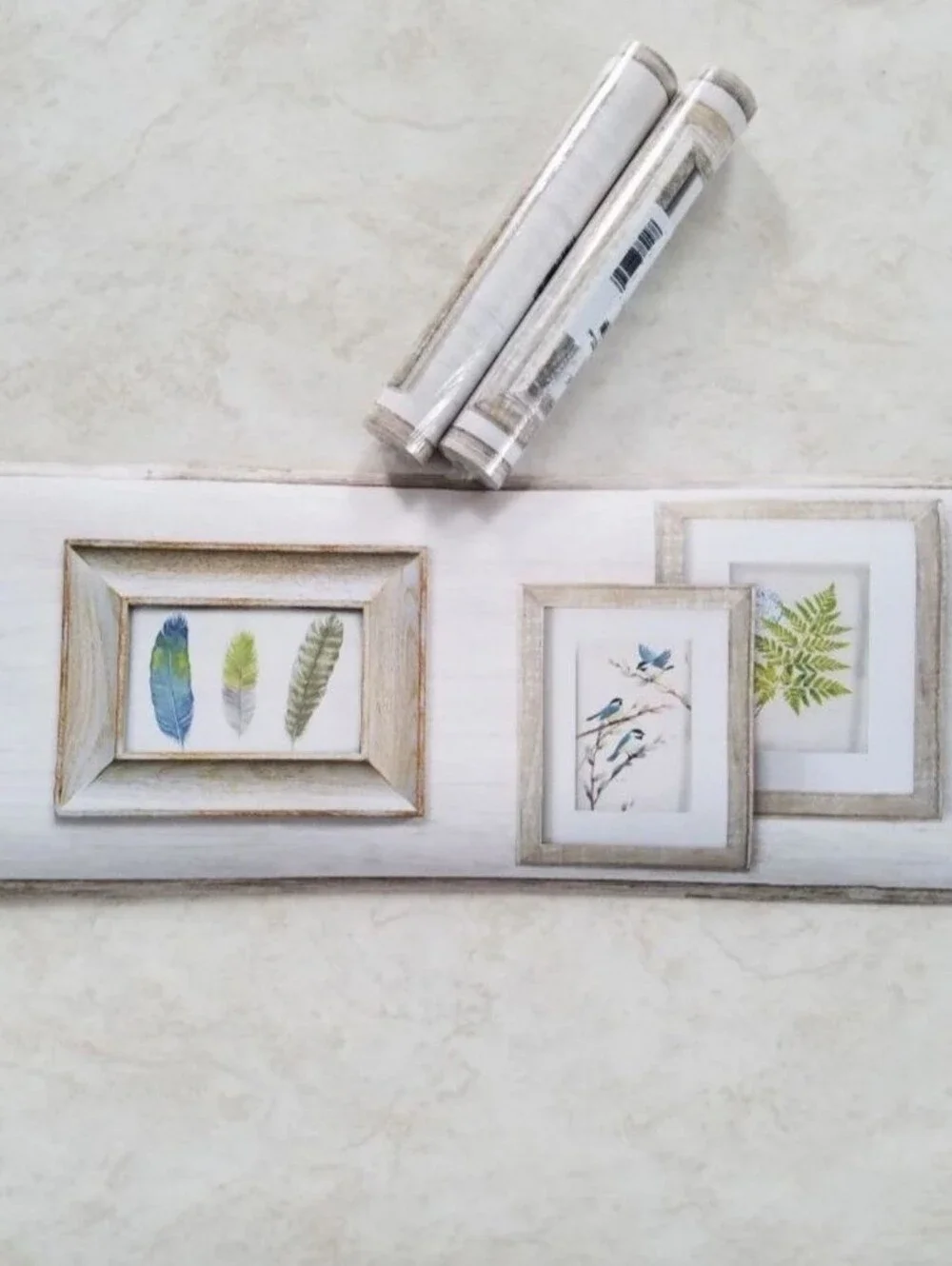 Wallpaper Border Feathers Birds & Ferns